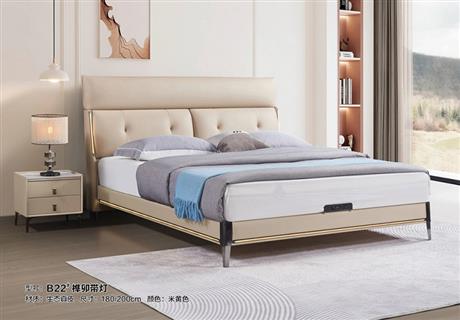 B22#真皮软床（带柜）